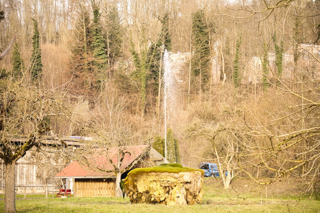 Gorące źródła w sercu Polski? Odkryj termy niedaleko Łodzi