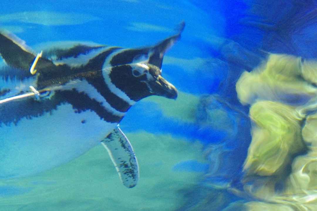 Aquapark z brodzikiem i atrakcjami dla najmłodszych – na co zwrócić uwagę?