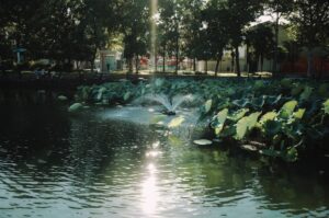 Animacje dla niemowląt w aquaparku – czy to dobry pomysł?