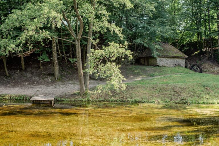 Komfort i bezpieczeństwo - jakie udogodnienia oferują baseny termalne dla seniorów?