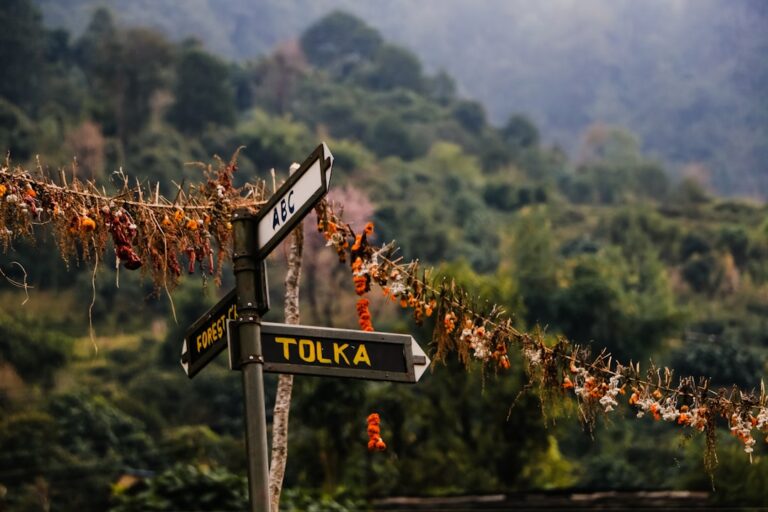 Planujesz zwiedzanie Bukowiny i okolic? Oto mapa, której potrzebujesz