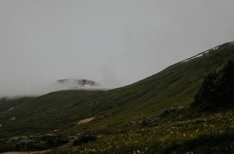 Co to są termy i czym różnią się od zwykłego basenu? Wyjaśniamy!