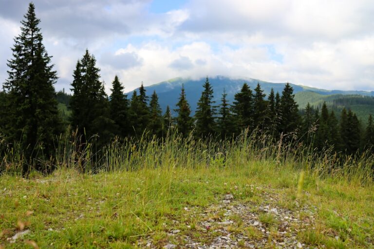 Gubałówka od A do Z - atrakcje, położenie i wysokość w pigułce