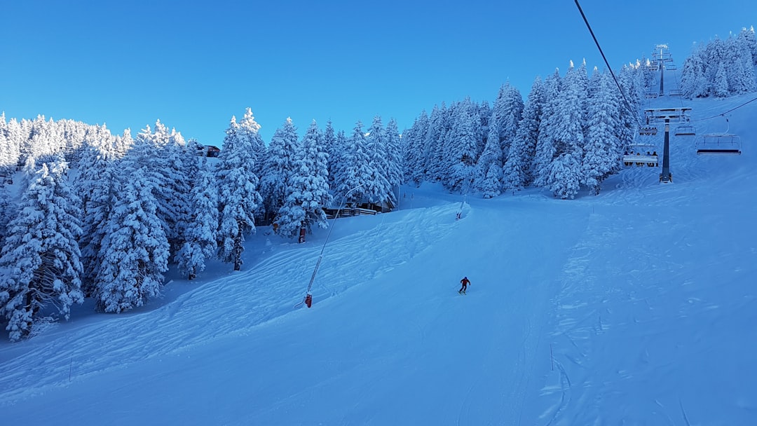 Zobacz Termy Bukovina na żywo! Podglądamy widok z kamer internetowych