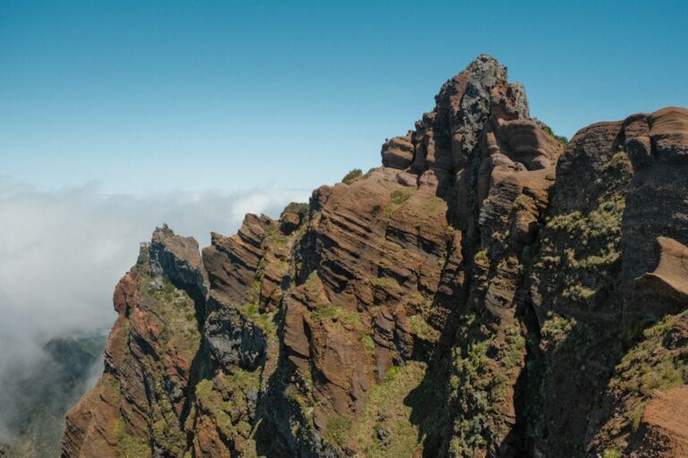 Jak bezpiecznie i efektywnie korzystać z sauny parowej? Praktyczne wskazówki