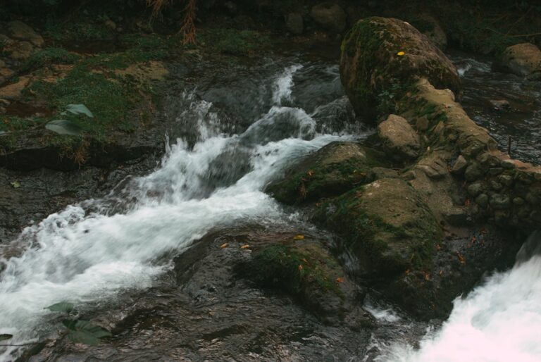 Sauna rzymska a fińska – poznaj kluczowe różnice i wybierz idealną dla siebie
