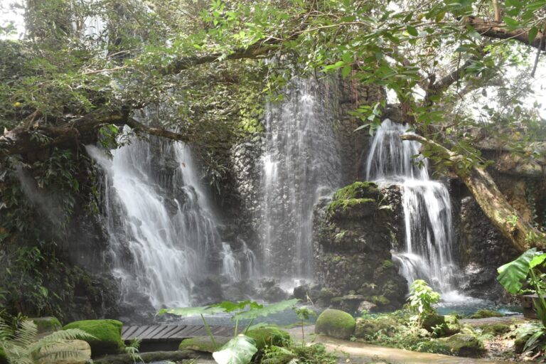 Dlaczego Terma w Bukowinie to jedna z najpopularniejszych atrakcji regionu?