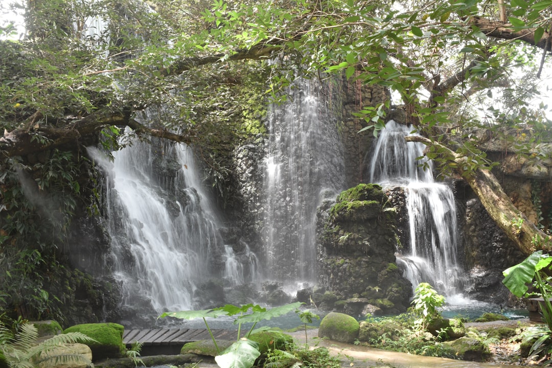Dlaczego Terma w Bukowinie to jedna z najpopularniejszych atrakcji regionu?
