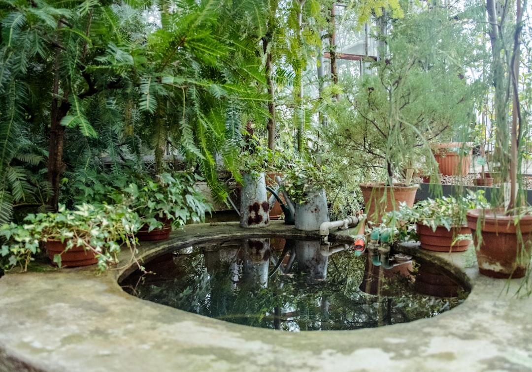 Termalne kąpiele perełkowe – jak działają i gdzie je wypróbować?