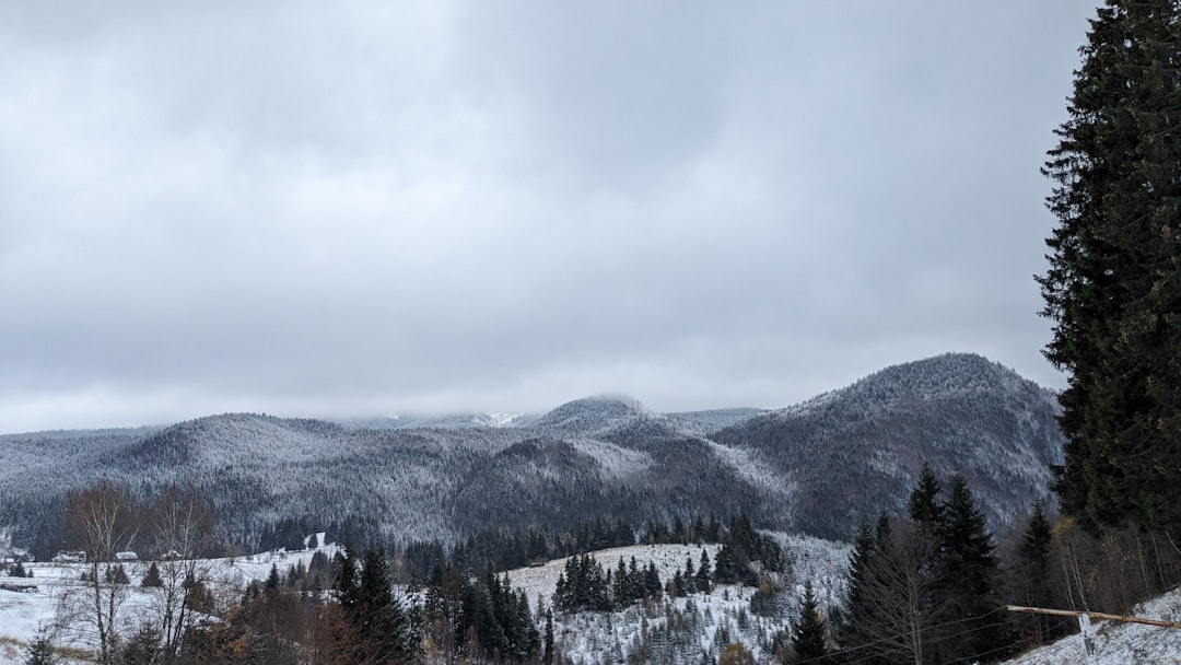 Czy wyjazd do term z dzieckiem-alergikiem to bezpieczny pomysł?