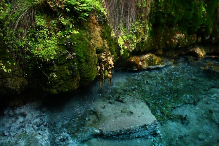 Gdzie w Polsce napić się wody prosto ze źródła? Przewodnik po źródłach mineralnych